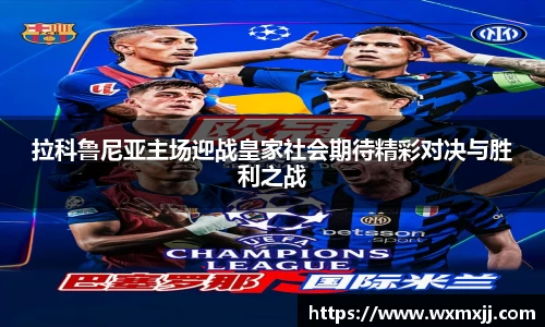 BV伟德官方网站