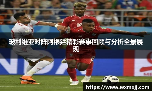 玻利维亚对阵阿根廷精彩赛事回顾与分析全景展现