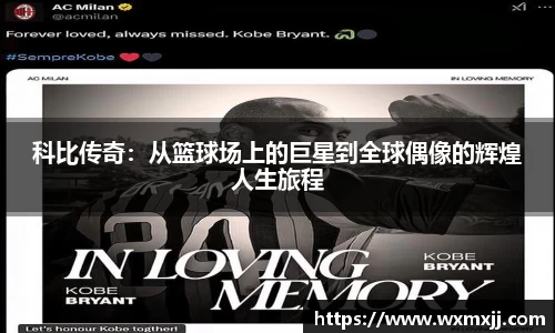 伟德bv国际体育