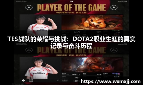 TES战队的荣耀与挑战：DOTA2职业生涯的真实记录与奋斗历程