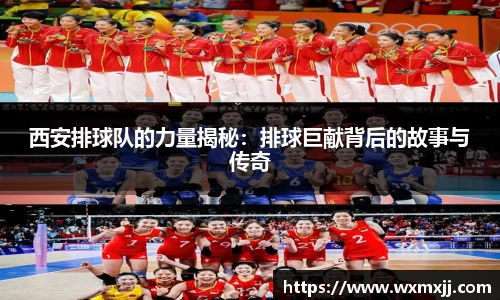 伟德bv国际体育