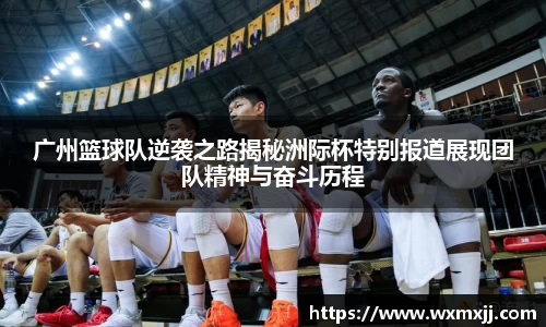 伟德bv国际体育